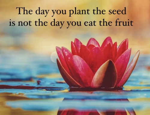 Plant the Seed and Trust the Process